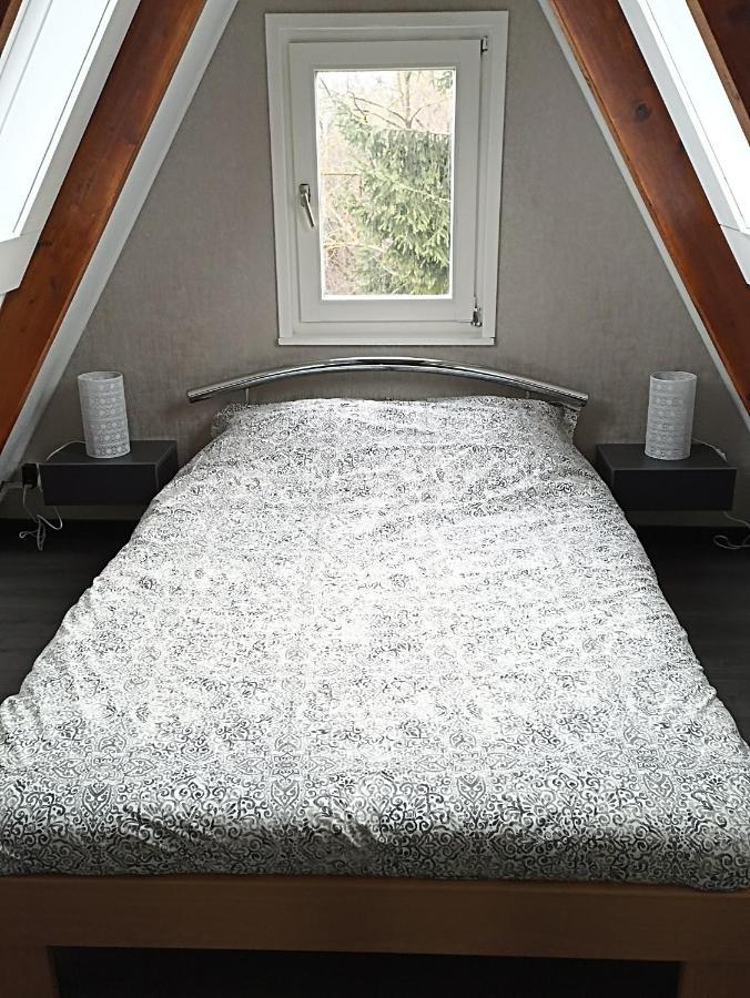 Bungalow Sud-Harz Bleicherode - Boven Eksteriør bilde